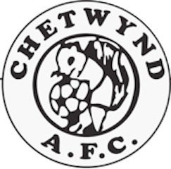 Chetwynd Lionesses U9 badge